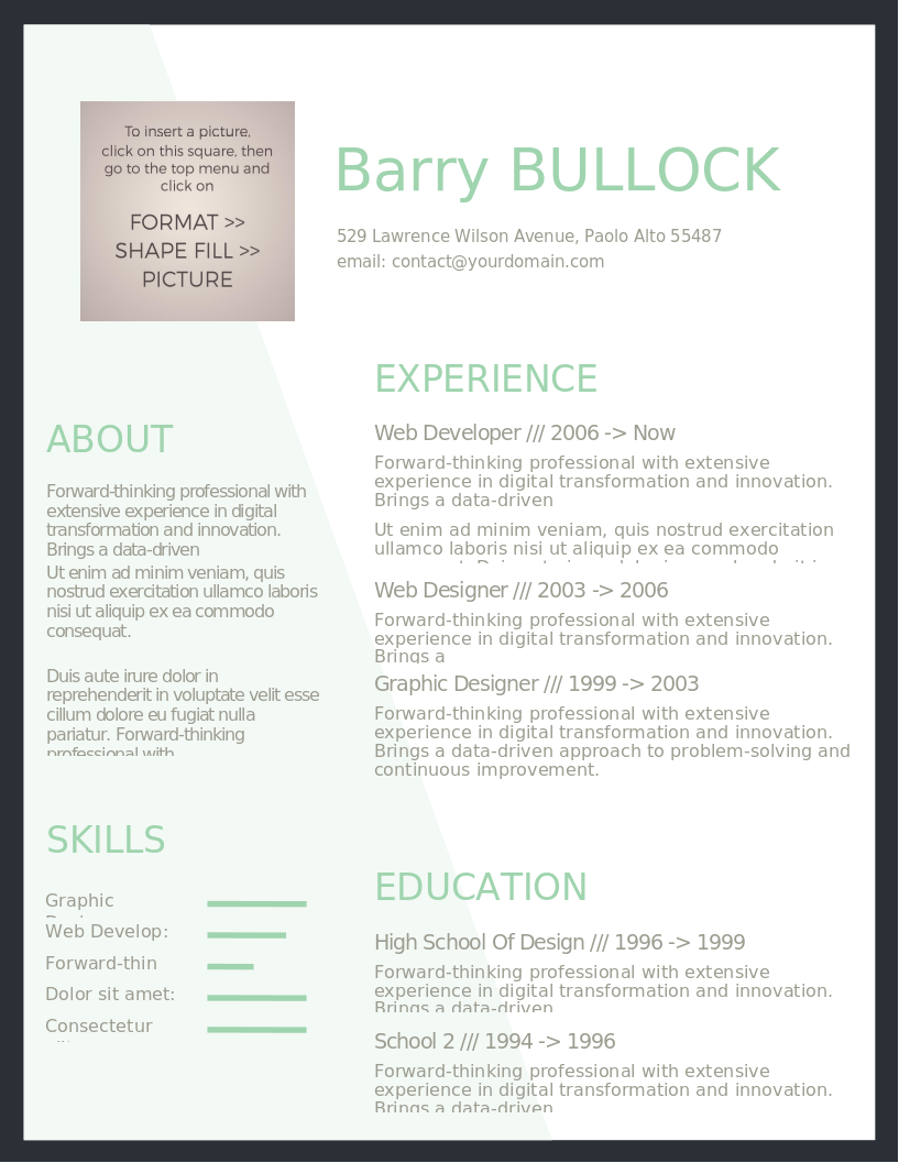 Basic and Light CV preview